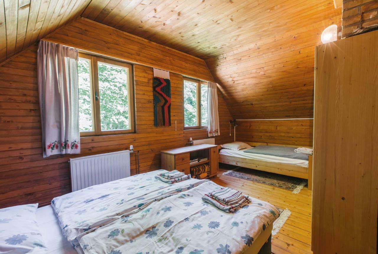 Pocitniska Hisa Radovna Villa Zgornja Radovna Exterior photo