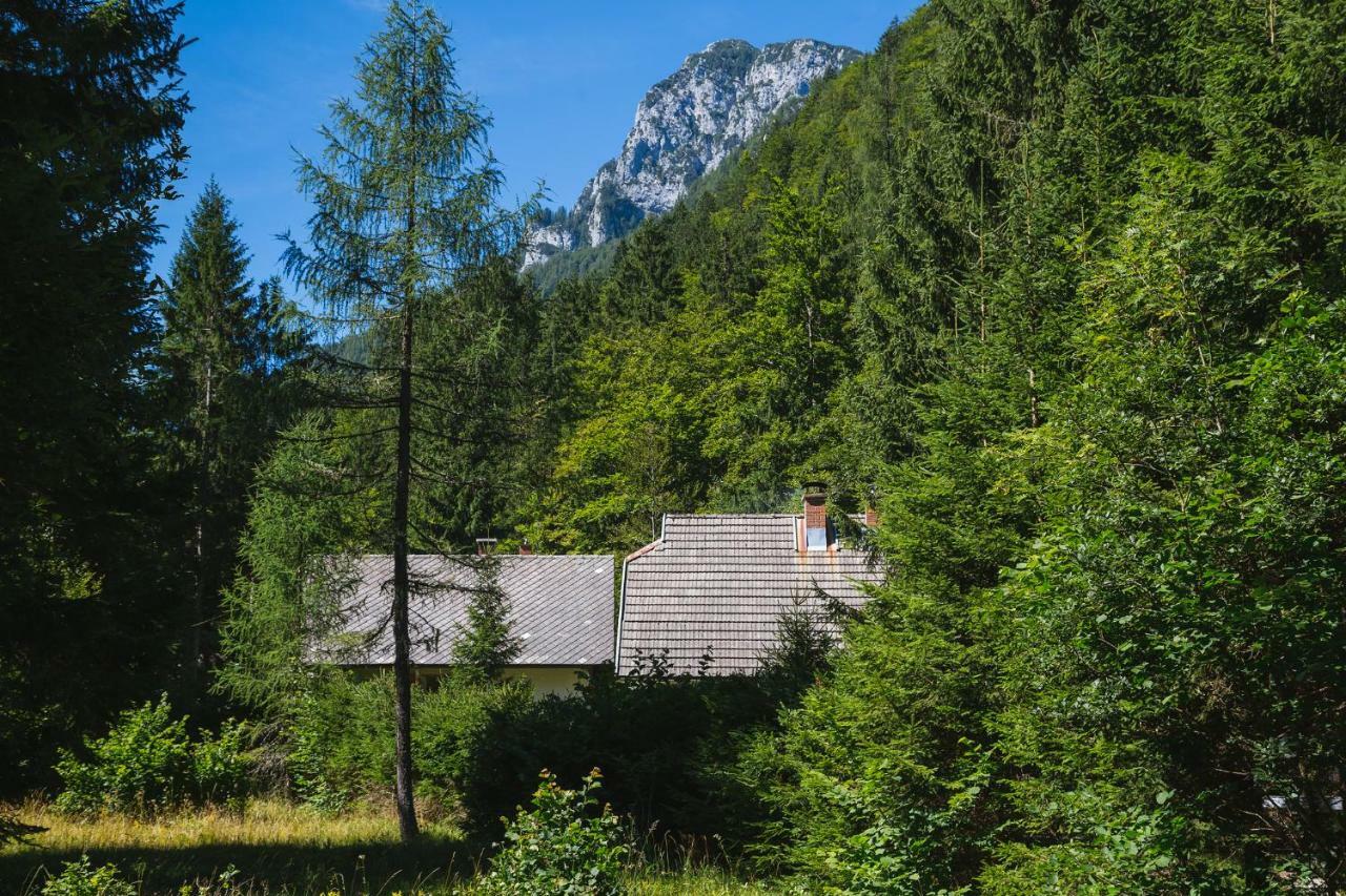 Pocitniska Hisa Radovna Villa Zgornja Radovna Exterior photo